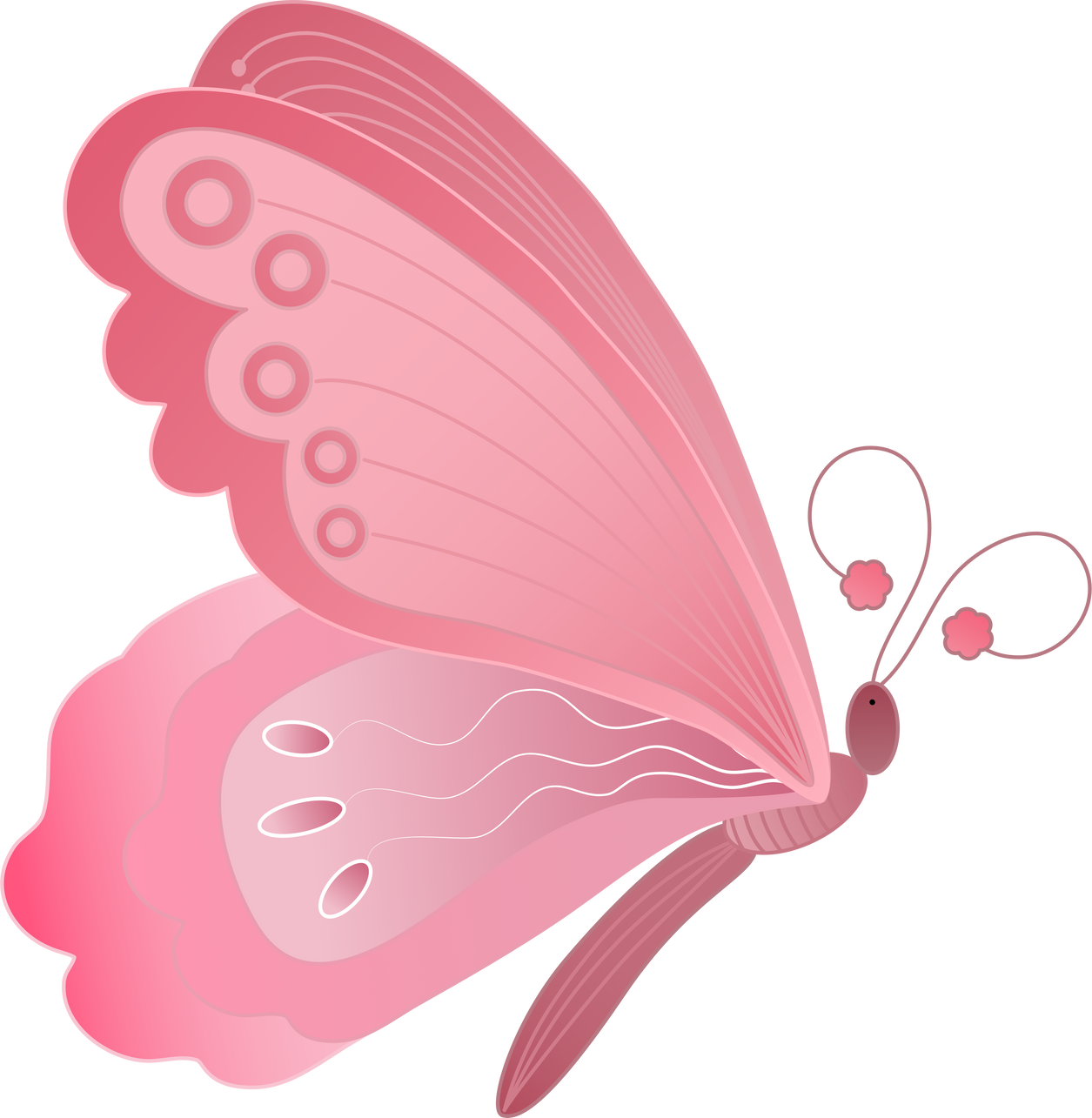 Butterfly Pink Illustrations Design